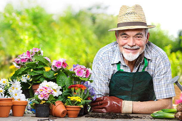 istock Senior in the flower garden 466028938