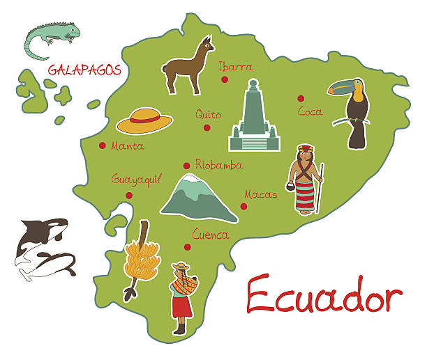 ilustraciones, imágenes clip art, dibujos animados e iconos de stock de mapa de ecuador con características típicas - ecuador