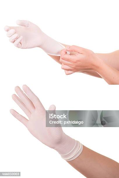 Doctor Wears Sterile Latex Gloves Stock Photo - Download Image Now - Adult, Animal Body Part, Animal Finger