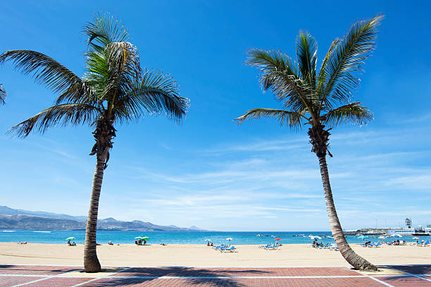 LAS PALMAS, GRAN CANARIA - SEPTEMBER 17: People on the beach at Canteras beach in Gran Canaria on September 17, 2012. Playa Canteras is 3 kilometers long.