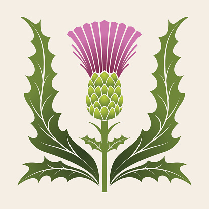 Simple Stencil Style Scottish Thistle In Pink Purple And Green