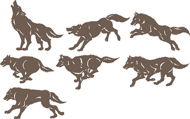 running wolves - wolf stock-grafiken, -clipart, -cartoons und -symbole