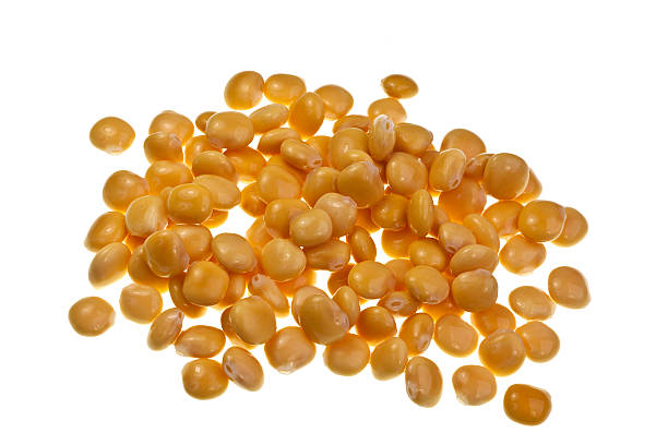 istock Lupin or Lupini Beans 466037469