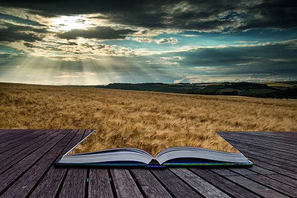 istock Stunning countryside landscape wheat field in Summer sunset conc 466038184