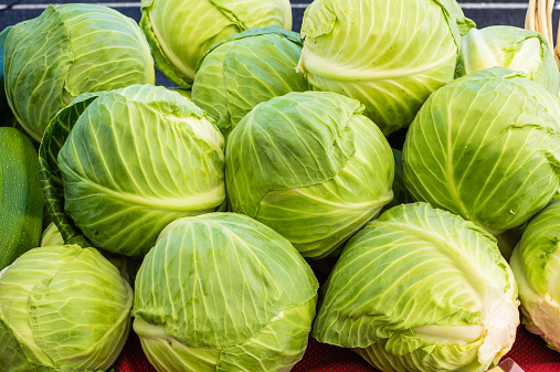 Fresh green cabbages on display at the local farmers market