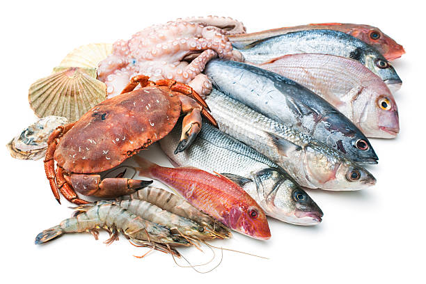 mar de comida - market fish mackerel saltwater fish - fotografias e filmes do acervo