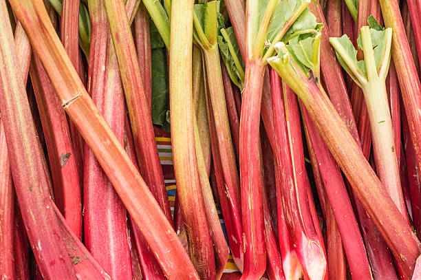 istock Fresh red rhubarb at the market 466042090