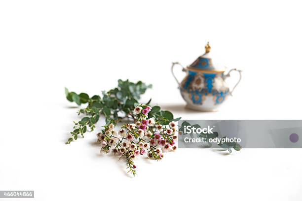 Antique Tea Pot With Fresh Flowers And Herbs Stock Photo - Download Image Now - 2015, Blossom, Border - Frame