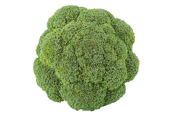 broccoli broccoli on white, top view brokoli stock pictures, royalty-free photos & images