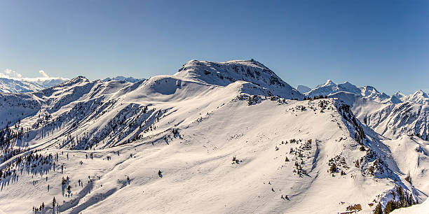 istock Winter snowy mountains panorama 466045266