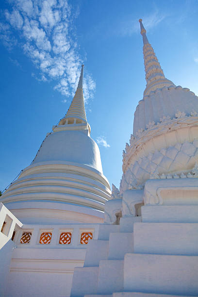 istock Wat Phu Khao Thong, Ayutthaya 466046443