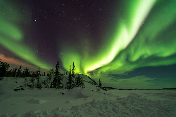 istock Aurora Over Trees in Yellowknife, Canada 466050176