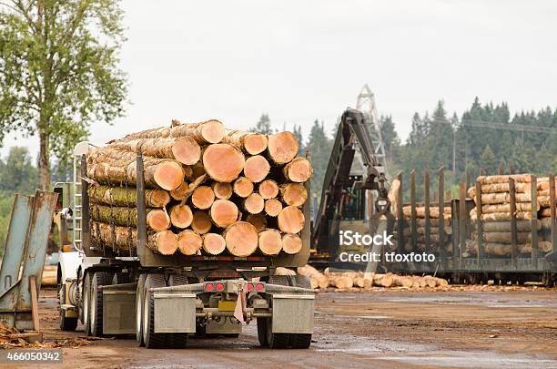 Log Load Stock Photo - Download Image Now - 2015, Agricultural Machinery, Backhoe
