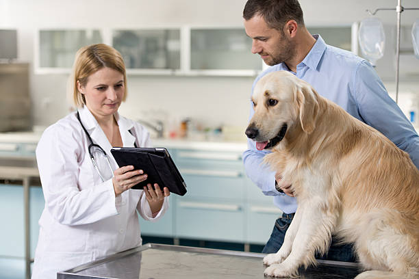 istock Vet With Dog And Owner 466053357