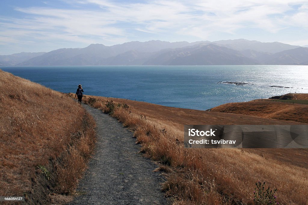 Persona caminando por un sendero en de Kaikoura, Nueva Zelanda - Foto de stock de Andar libre de derechos