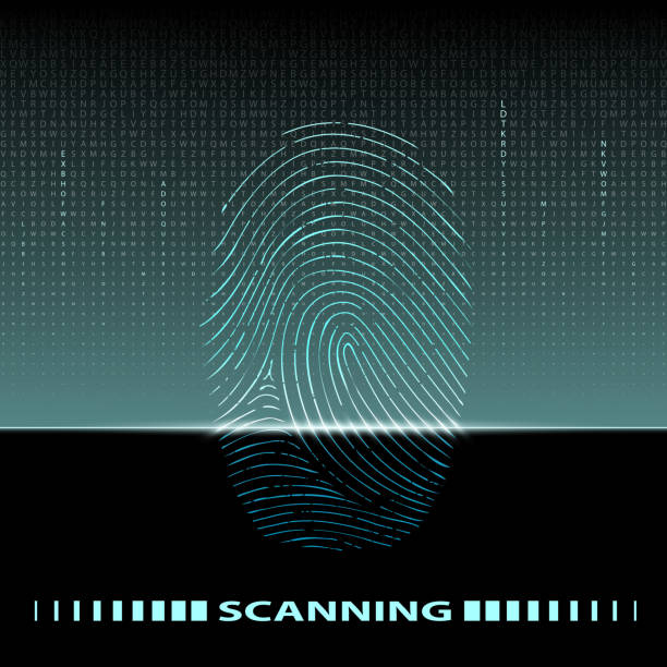 fingerabdruck-scan - individuality identity computer graphic forensic science stock-grafiken, -clipart, -cartoons und -symbole