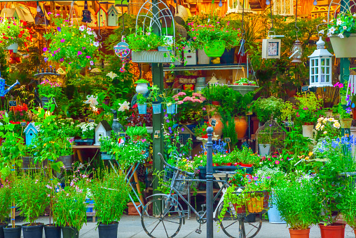 Flower shop in Paris, France