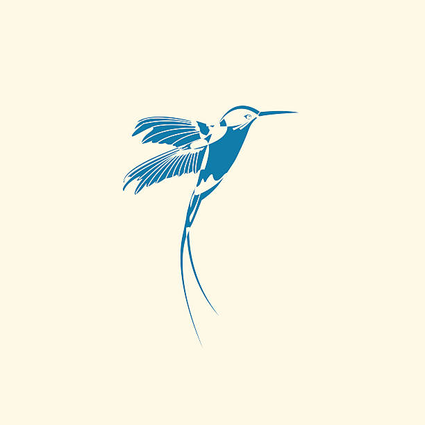 silhouette des hummingbird - maskottchen grafiken stock-grafiken, -clipart, -cartoons und -symbole