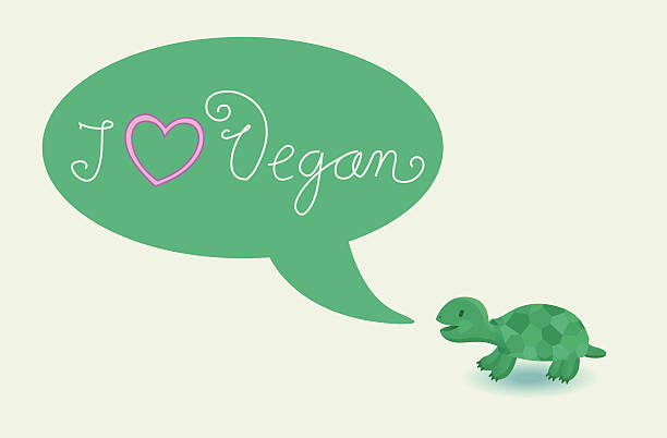 turtle loves vegan vector art illustration