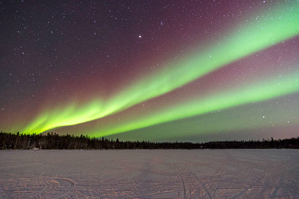 istock Aurora Over Trees in Yellowknife, Canada 466058488