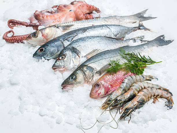 frutti di mare su ghiaccio - catch of fish fish tuna sea bream foto e immagini stock