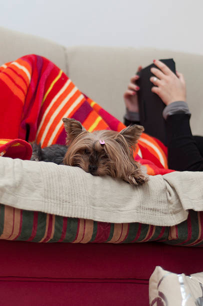 istock woman reading next her lovely pet 466063877