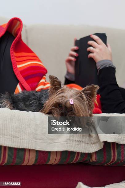 Mujer Leyendo Junto Con Su Adorable Dog Foto de stock y más banco de imágenes de Acostado - Acostado, Animal, Brazo humano