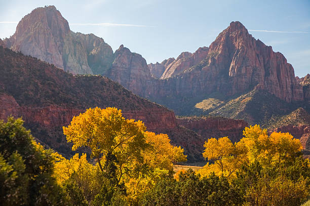 istock Zion National Park, Utah - November 2011 466066957