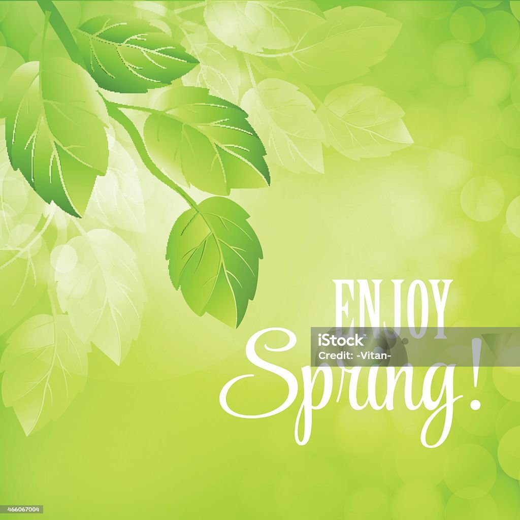 Spring vector background with green branch Backgrounds stock vector