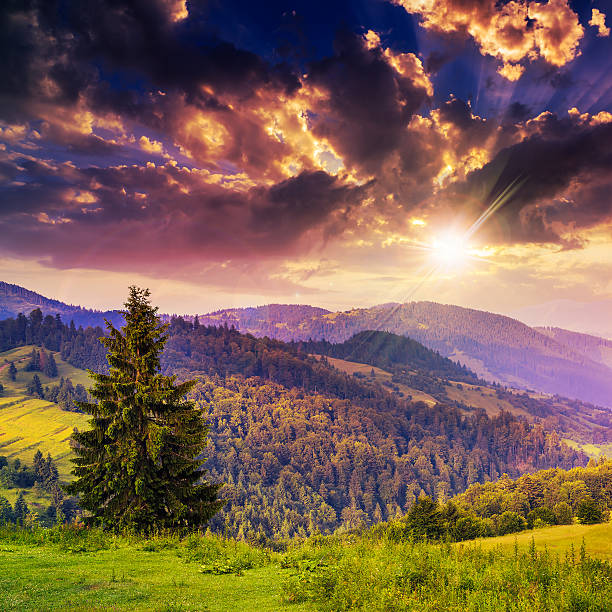 istock cold fog on hot sunset in mountains 466067337