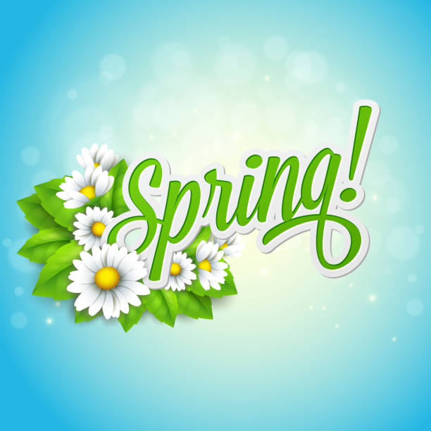 Hello Spring inscription surrounded by spring flowers vector art illustration