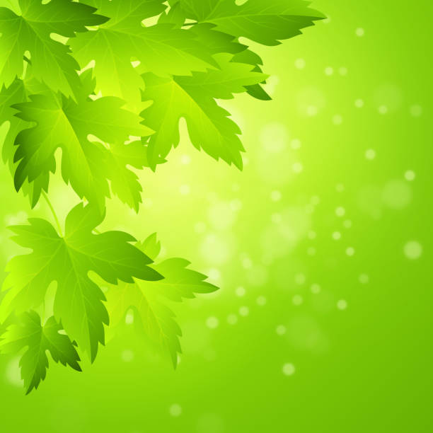 春のバックグラウンド。枝とボケ背景の緑の葉 - color image colored background tree branch点のイラスト素材／クリップアート素材／マンガ素材／アイコン素材