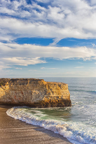istock Waves Crashing Ashore at Wilder State Beach 466070181