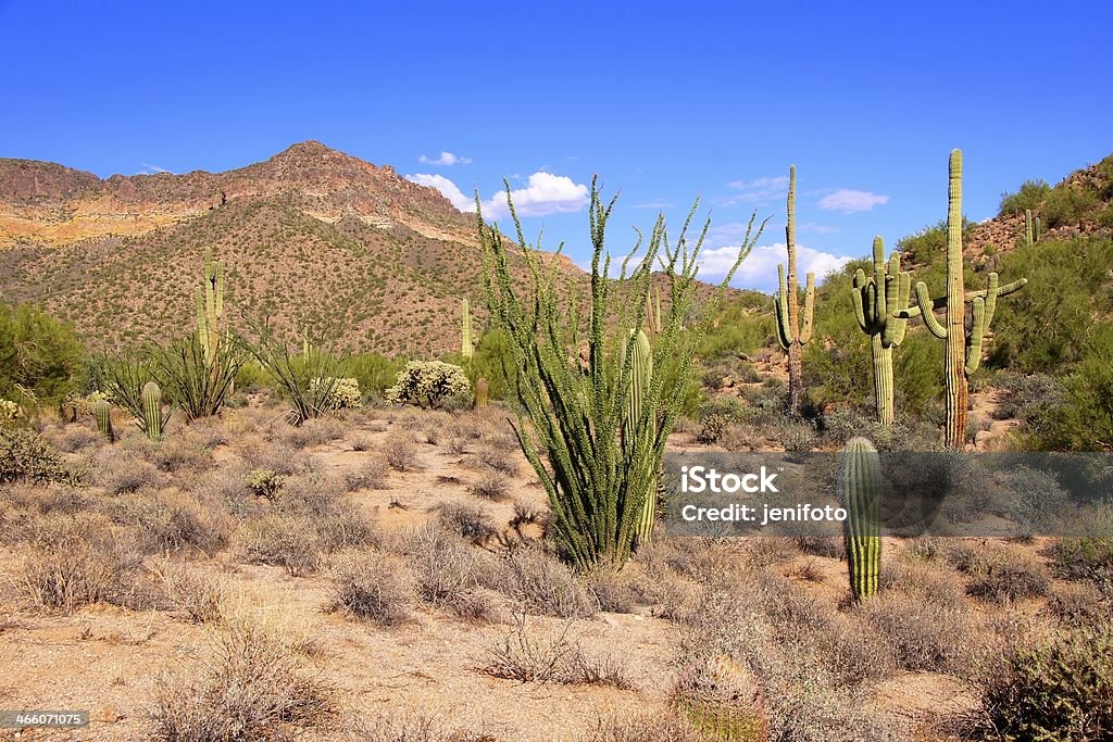 Deserto do Arizona - Foto de stock de Arizona royalty-free