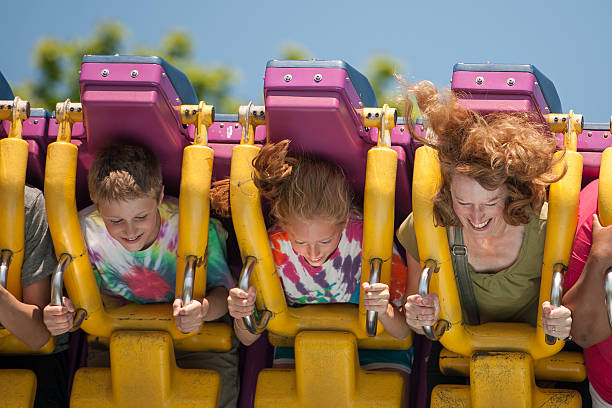 istock Ride at the amusement park 466082746