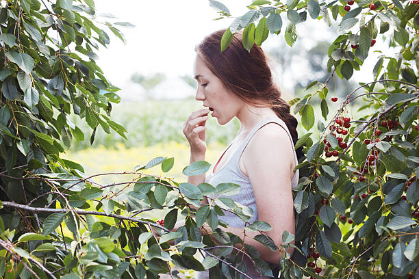 Girl eating cherries Beautiful brunette in cherry garden. Ripe fruit. Summer garden tasting cherry eating human face stock pictures, royalty-free photos & images