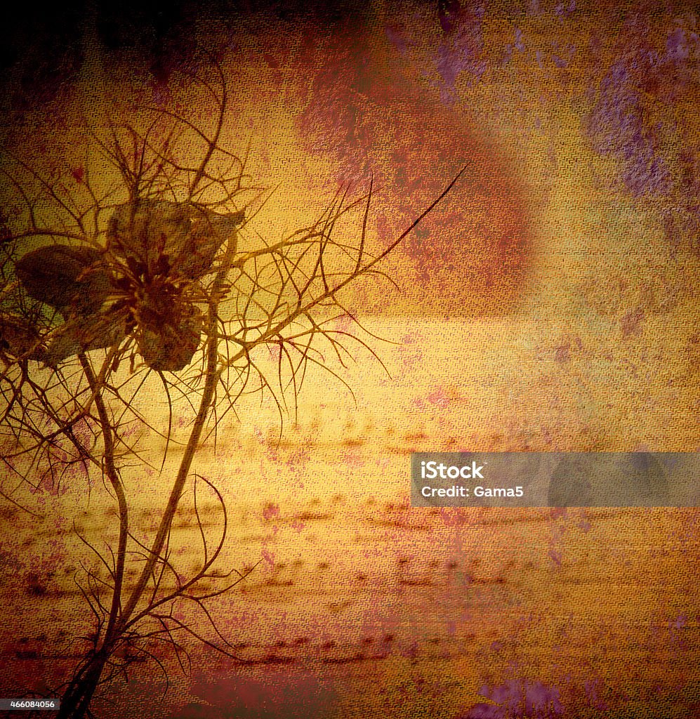 vintage background, flower and score vintage background canvas textured, flower and score 2015 Stock Photo
