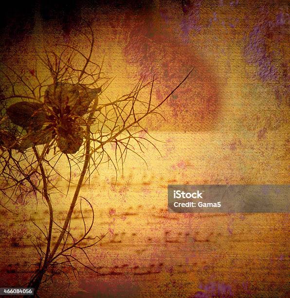 Vintage Background Flower And Score Stock Photo - Download Image Now - 2015, Abstract, Ancient