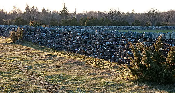 Landscape with stonewalls in morning sun