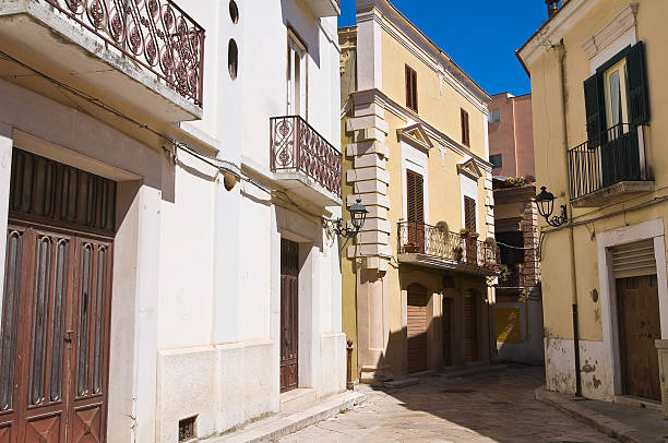 istock Alleyway. San Severo. Puglia. Italy. 466084578