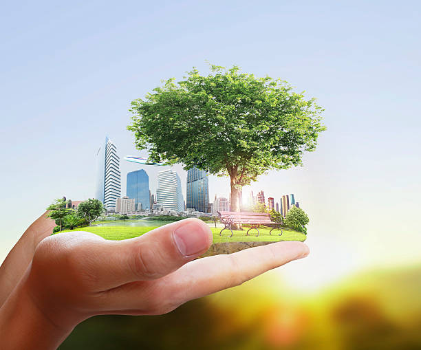 istock Human holding a city in their hands 466085075
