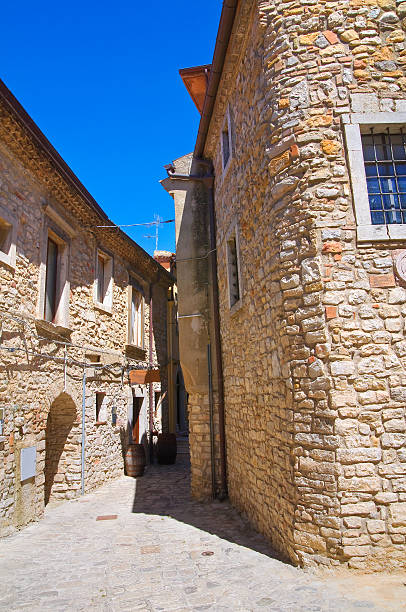 istock Alleyway. Pietragalla. Basilicata. Italy. 466085898