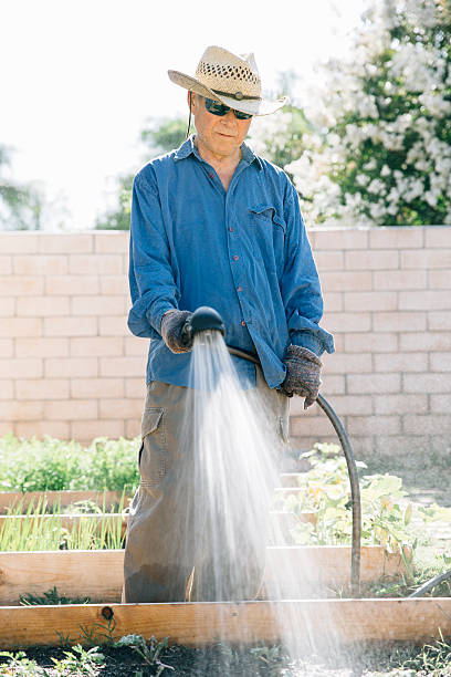 senior asiática gardener - planting clothing gray hair human age - fotografias e filmes do acervo