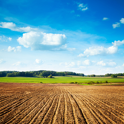 Spring Landscape with Plowed Field on the Background of Beautiful Clouds and Blue Sky. Ploughed Soil. Agriculture Concept. Copy Space.
