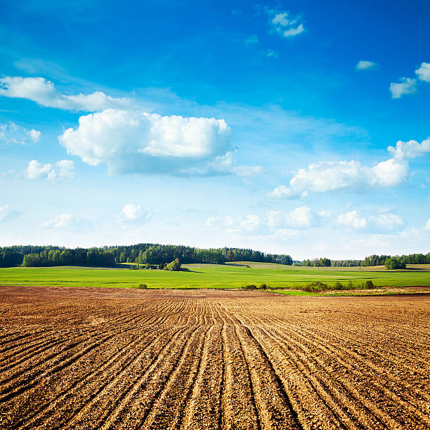 Spring Landscape with Plowed Field and Blue Sky Spring Landscape with Plowed Field on the Background of Beautiful Clouds and Blue Sky. Ploughed Soil. Agriculture Concept. Copy Space. Lea stock pictures, royalty-free photos & images