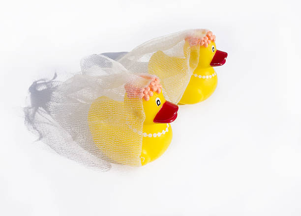 rubber ducky gay wedding