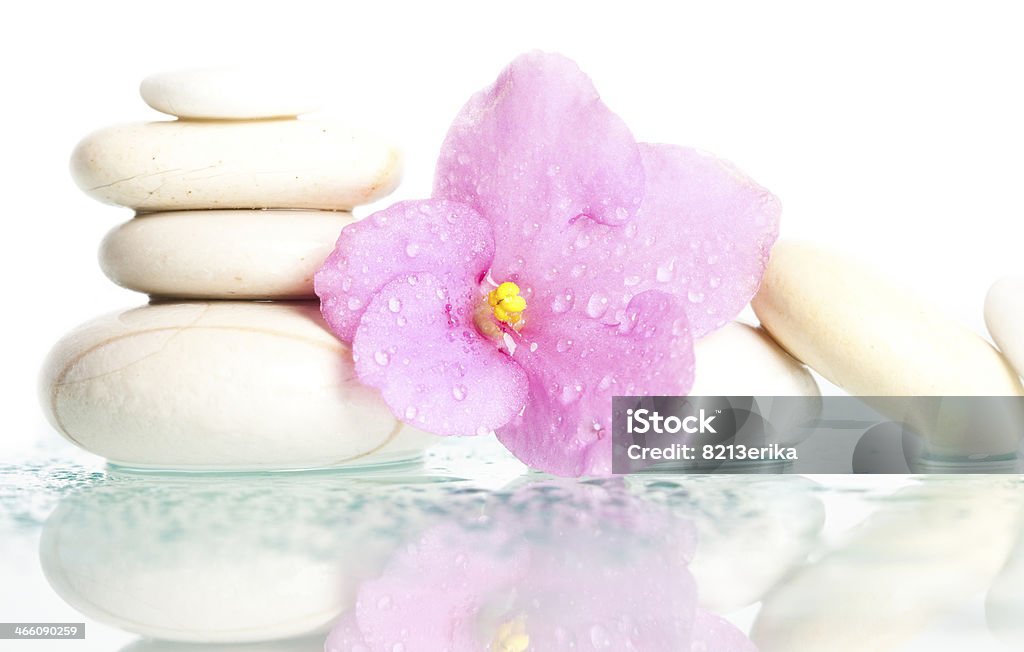 Spa stonse on white with flower Spa stones and pink flower on white background Alternative Therapy Stock Photo