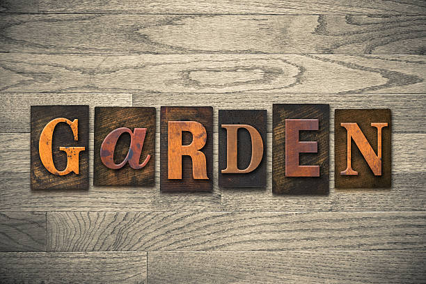 istock Garden Wooden Letterpress Concept 466092428