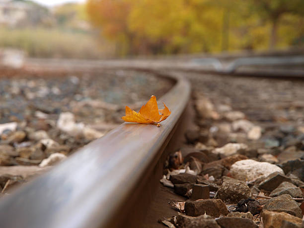 istock Autumn at the train station 466092652