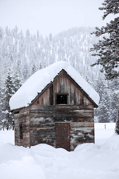 istock winter snowfall in rural area 466092712